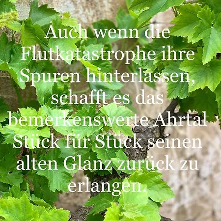 Auszeit Im Ahrtal Apartment *