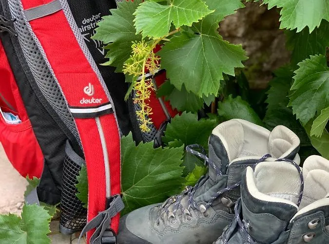 Apartament Auszeit Im Ahrtal *