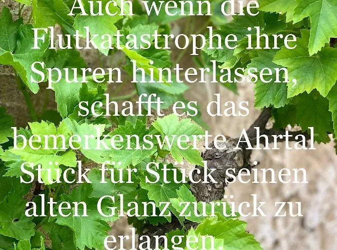 Auszeit Im Ahrtal Apartament *